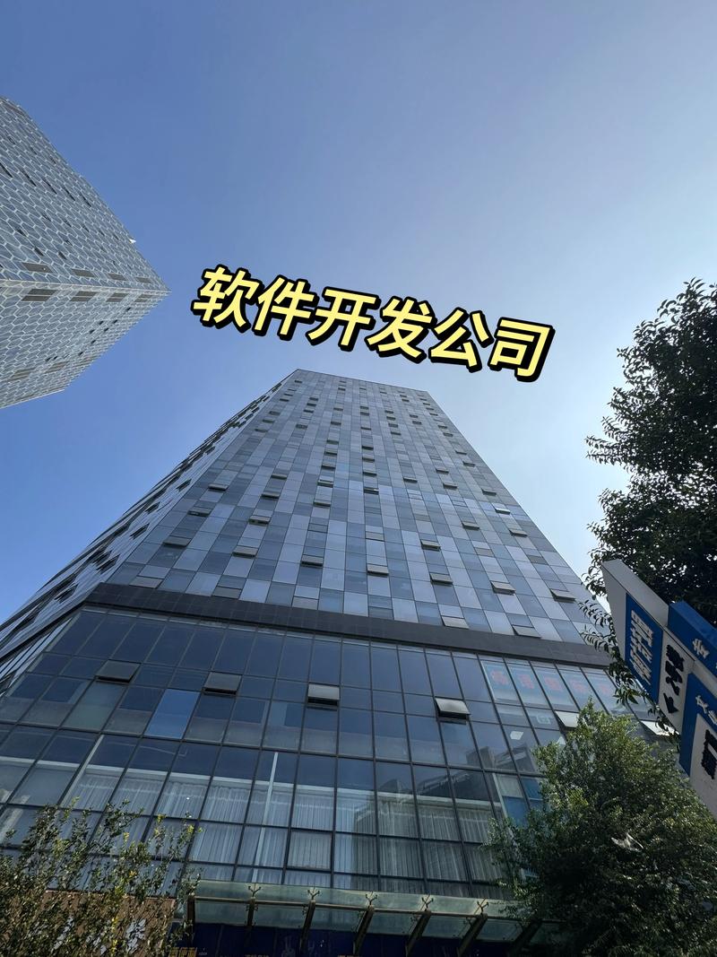 系统开发外包：提升企业竞争力的新引擎